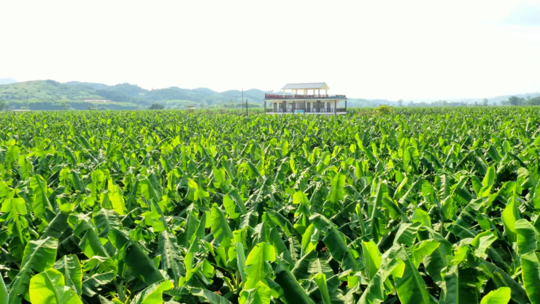 南宫28(中国NO.1)集团有限公司