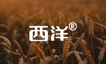 西洋肥业